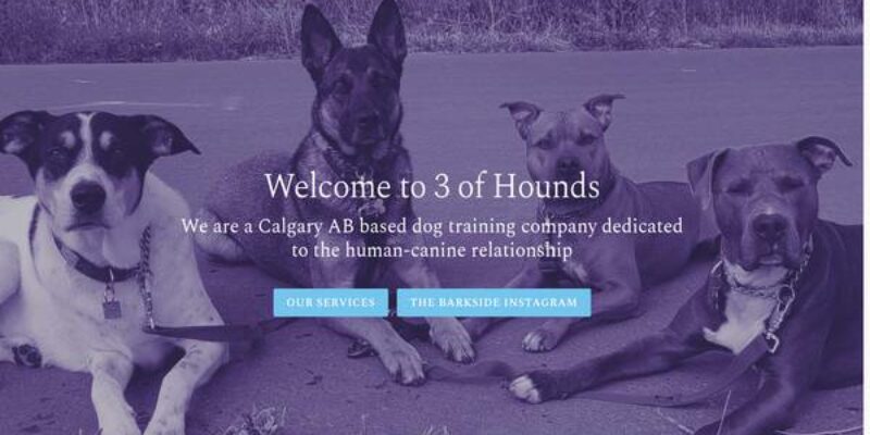 3 of Hounds Canine Services
