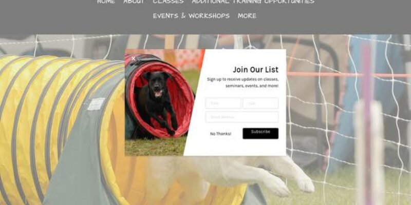 Bell Creek Agility & Obedience