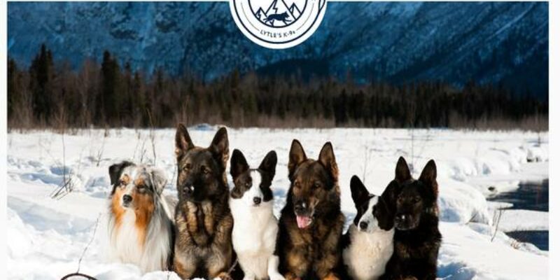 Alaska Dog Boarding & Training Inc