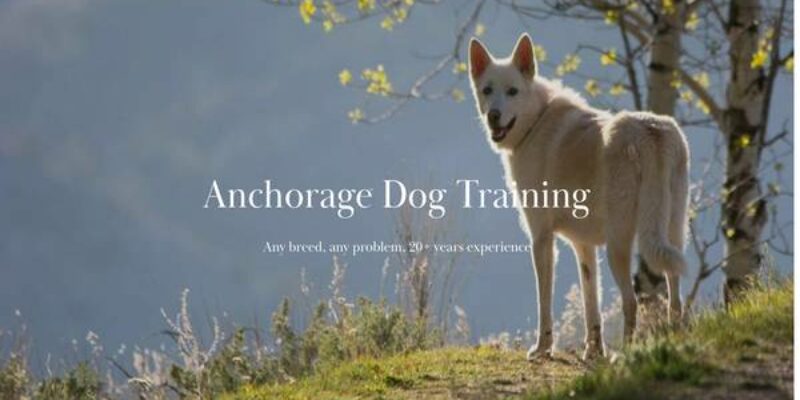 Anchorage Dog Training