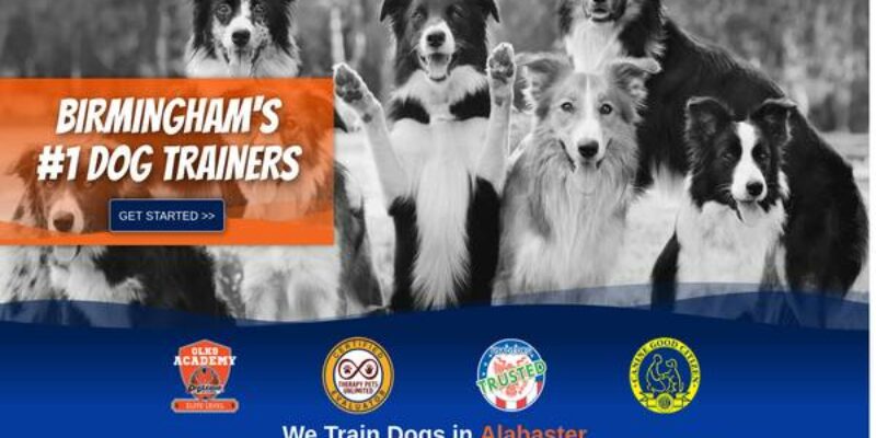 Birmingham Dog Trainers, Off Leash K9 Tr