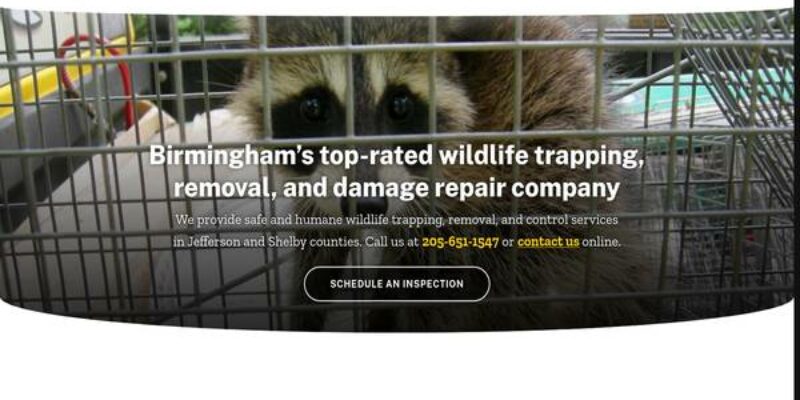 Covenant Wildlife Removal