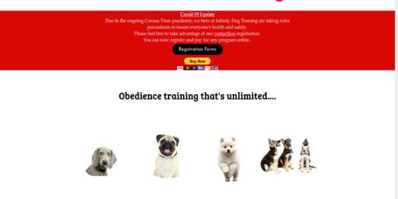 Infinity Dog Training and Education
