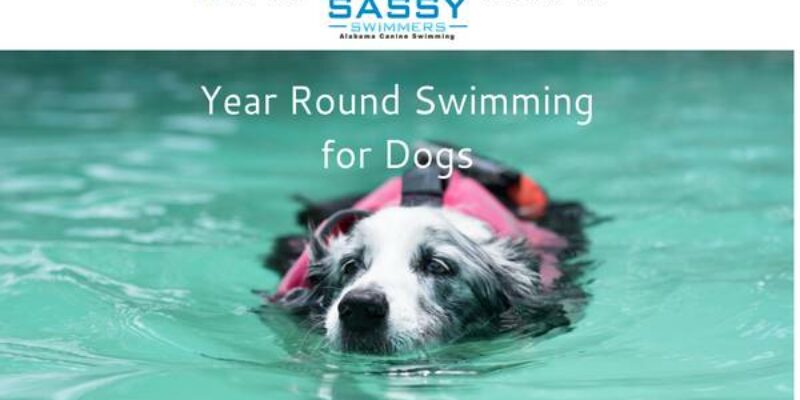 Sassy Swimmers/ Alabama Canine Hydrother