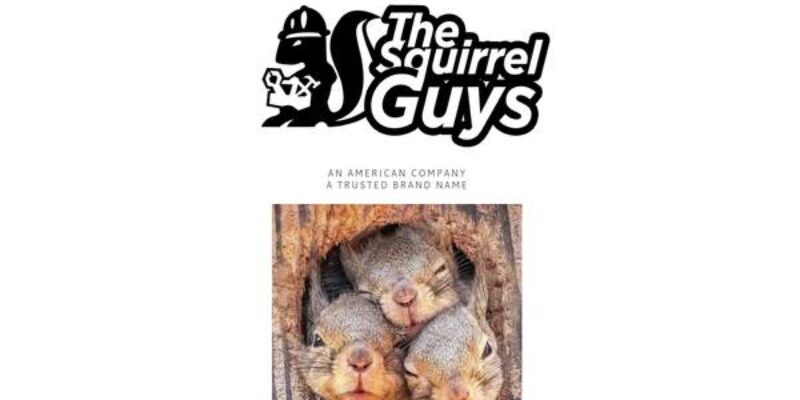 The Squirrel Guys
