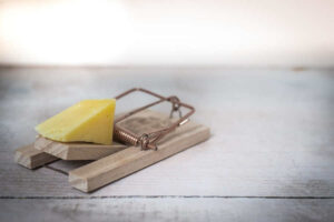 mouse trap image