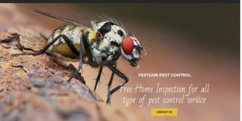 Pestgon Pest Control