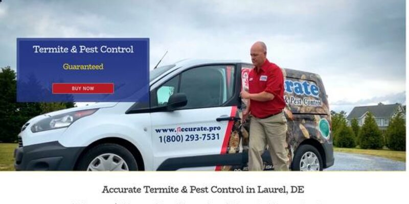 Accurate Termite & Pest Control