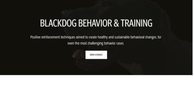 BlackDog Behavior and Training, LLC