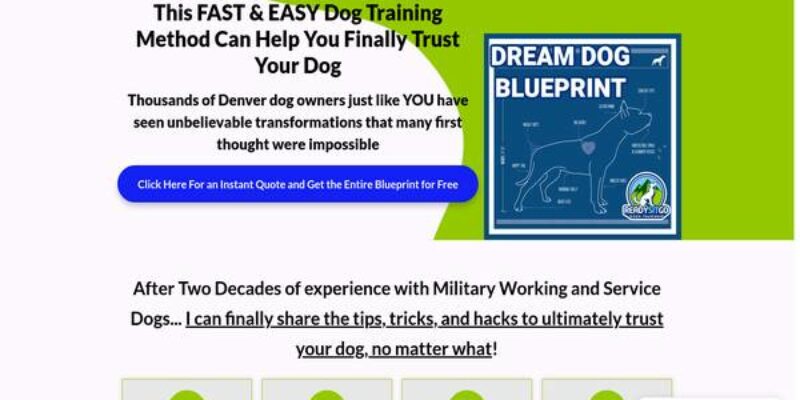 Ready Sit Go Dog training