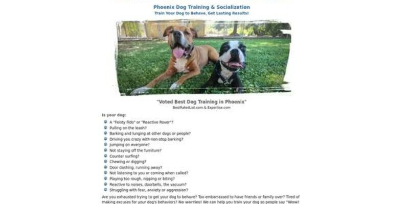 Paws To Train Your Dog