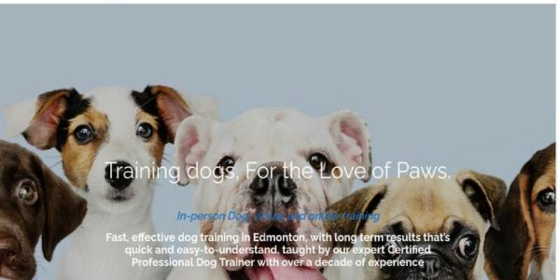 For the Love of Paws Pet Service – FLOPPS