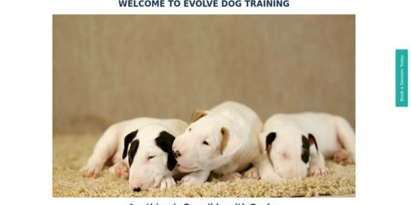 Evolve Dog Training