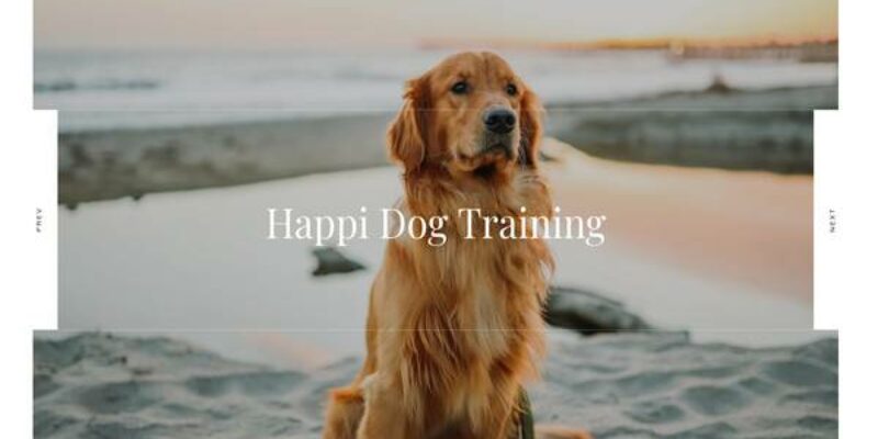 Happi Dog Training