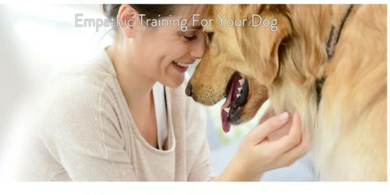Hearts & Hounds Dog Training