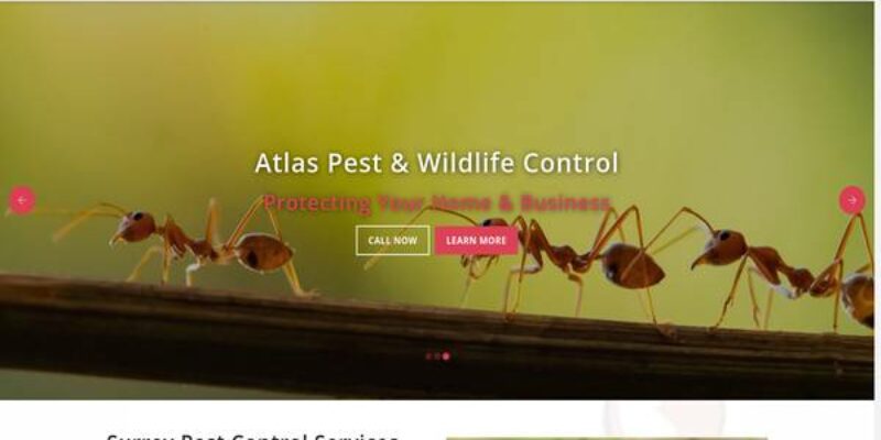 Atlas Pest and Wildlife Control Ltd