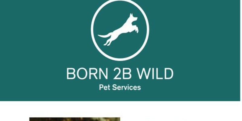 Born 2B Wild Pet Services