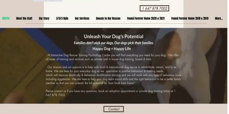 Interactive Dog Rescue Training & Psychology Centre