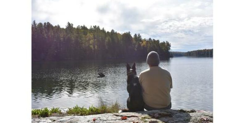 Marley’s Misfits Dog Training