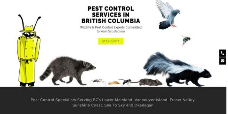 Pest Detective – Vancouver West Pest Con